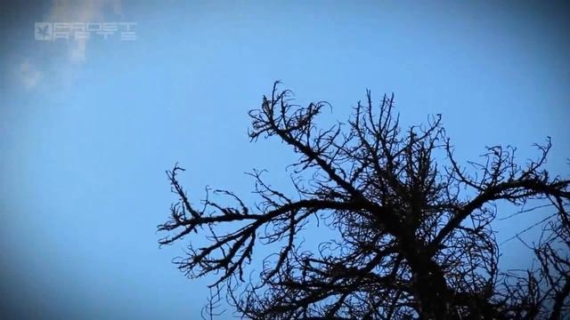 Пейзажи во времени. эпизод 1 смотреть онлайн