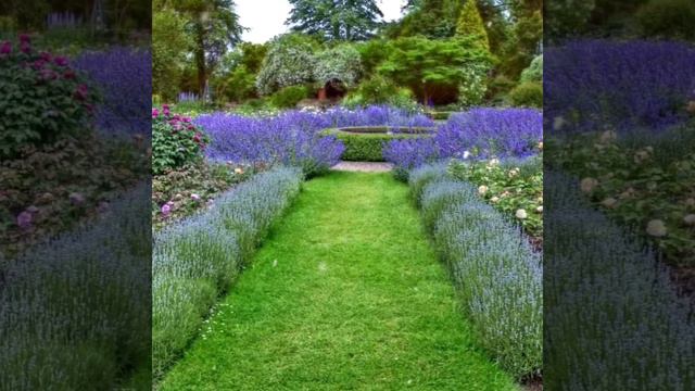 100 Creative ideas for a cottage, garden and vegetable garden. Ideas for inspiration!DIY смотреть онлайн