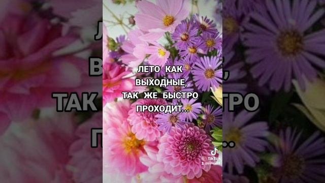 музыкальная открытка