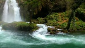 Общение с умершими