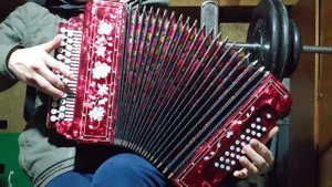 Шансон под гармонь. Мурка.