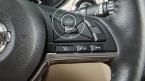 2019 Nissan Rogue Sport - Cruise Control (if so equipped)