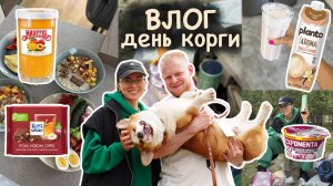 Вкусный завтрак на 550 ккал, едем на день корги, что взять с собой на пикник