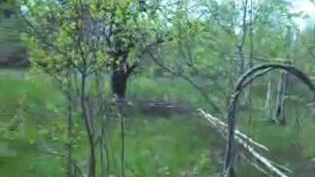 сад, огород смотреть онлайн