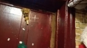 Тест охранно-пожарной сигнализации