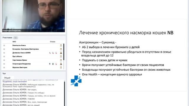 Насморк кошек. Скороходов Владислав. 24 05 2019 смотреть онлайн