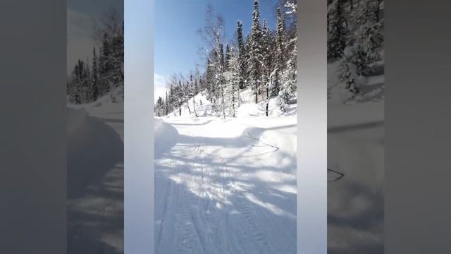 Трасса для беговых лыж вдоль Мундыбаша, Шерегеш, Сектор Е смотреть онлайн