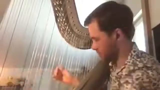Арфист Александр Болдачев