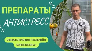 Антистрессовые препараты в конце сезона — это просто ✨ЧУДО✨ Плоды быстрее созревают становятся слаще