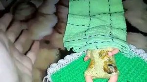 Распаковка мини реборна