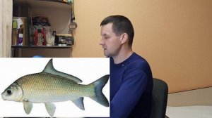 Виды карповых рыб. Буффало большеротый, буффало малоротый и буффало черный. Краткое описание вида