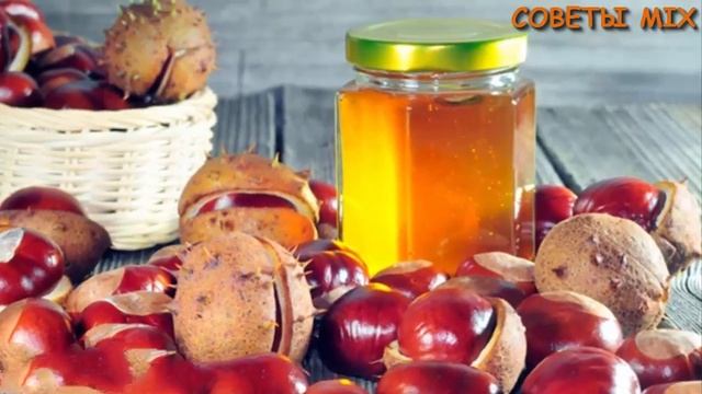 Какой мед и при каких заболеваниях помогает. Целебные свойства меда