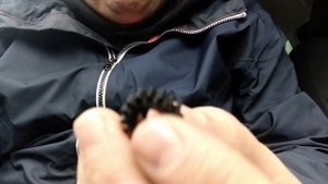 Кнопка бардачка Skoda Yeti. | Skoda Yeti glove box button. |