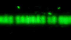 APOLO RAP | Record of ragnarok / Shuumatsu no valkyrie | 2023 | AdloMusic