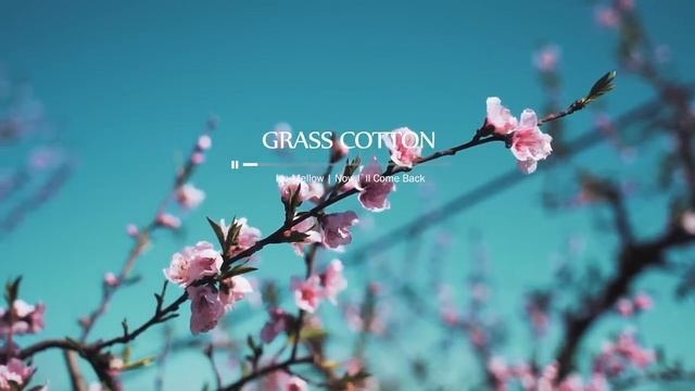 Нежная романтичная инструментальная музыка. Пианино. Красивая музыка для создания атмосферы. смотреть онлайн