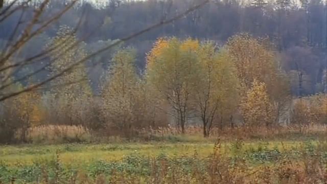 Велесова книга – подделка? смотреть онлайн