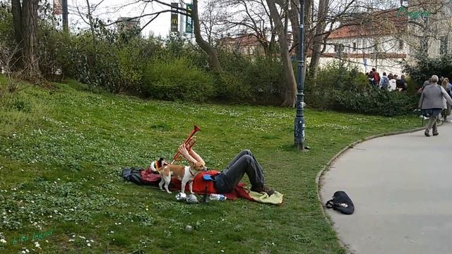 Ему и так удобно смотреть онлайн