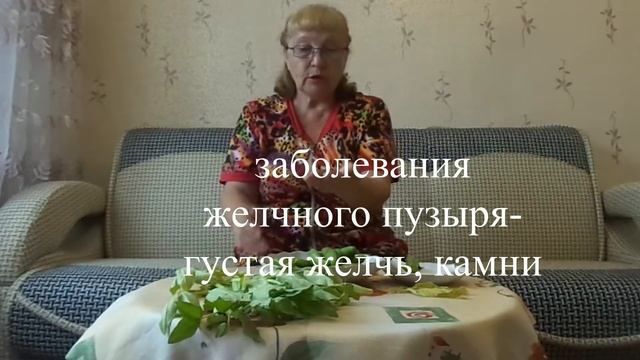 Зеленые бобы. Кому их много есть не надо.