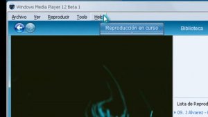 skin para windows media player