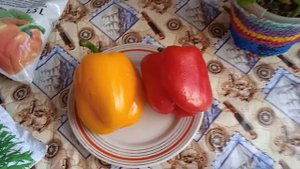 Всходы красного перца, сею семена жёлтого. Магазинного!