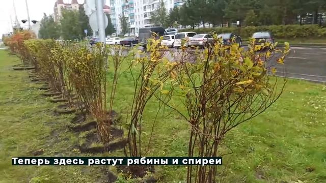 Особенности озеленения в осенний период 04.09.2020