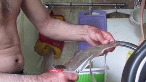 ЧИСТИМ БЫСТРО КАМБАЛУ