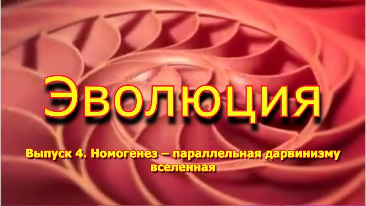 Номогенез – параллельная дарвинизму вселенная. "Эволюция", вып. 4