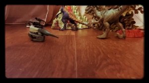 Камера засняла ночью