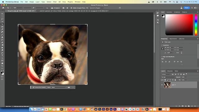 Learn Photoshop's New Generative Expand (AI) - The Ultimate Tutorial #artificial_intelligence