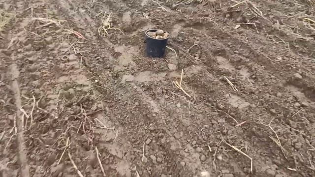 Тяжёлая вспашка Самодельным тракторам!Работа круглые сутки! смотреть онлайн