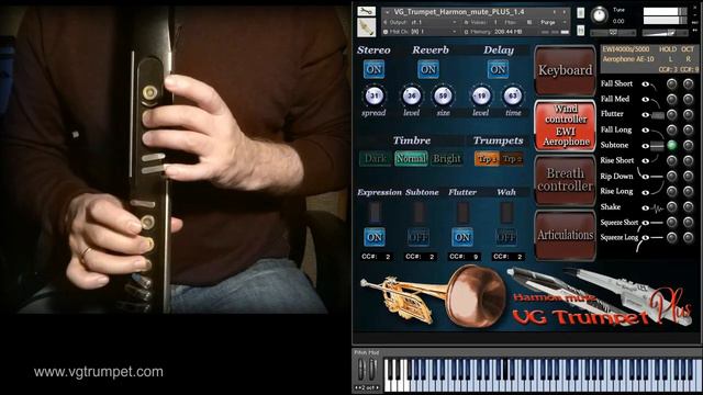 AKAI EWI4000s and VG Trumpet Harmon muted NI Kontakt sound library. A lot of articulations. Vst Wav смотреть онлайн