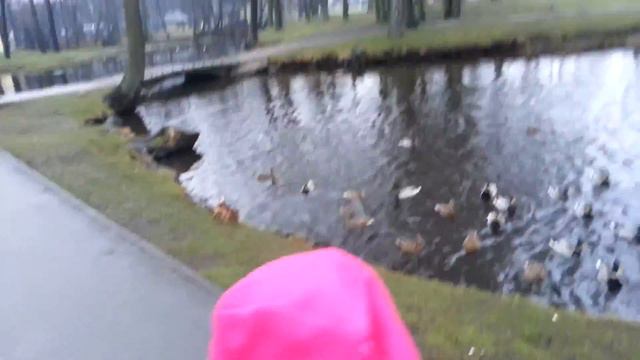 охота на уток. смотреть онлайн