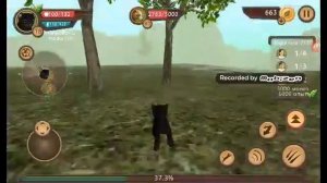 Прохождение игры симулятор кошки онлайн кет сим  (9)