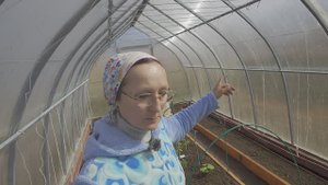 Видео привет с 6 соток 20 апреля 2024 года. Посеяла некоторые цветы на рассаду в теплицу.