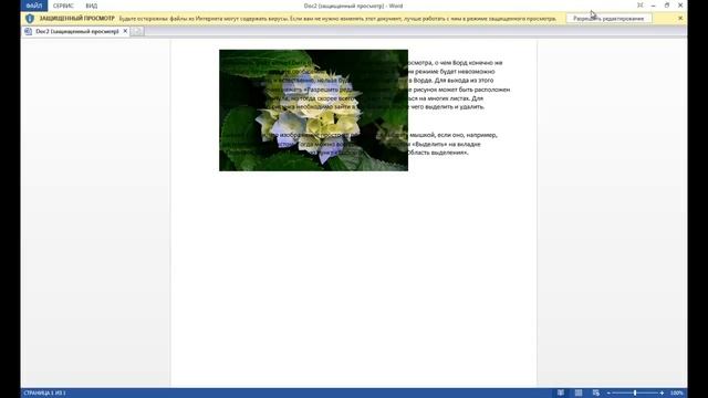 Как в Ворде удалить рисунок? смотреть онлайн