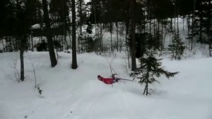 Knut on ski