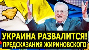 Запрещённое интервью на Украине Жириновского!