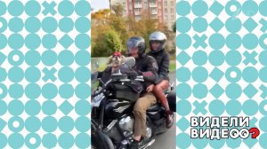 Спаниель-байкер. Видели видео? Фрагмент выпуска от 11.09.2022