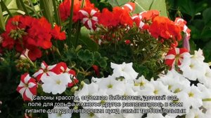 Заброшенные отели мира
