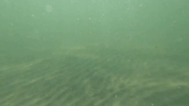 Озеро Калды, со стороны деревни Большое Таскино смотреть онлайн