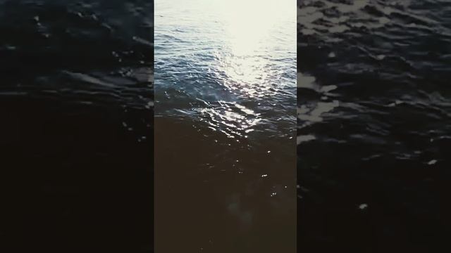 Video.Guru_20230605_085654925~2.mp4 смотреть онлайн