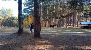 Тальков Камень, Екатеринбург.|Talkov Stone, Yekaterinburg.