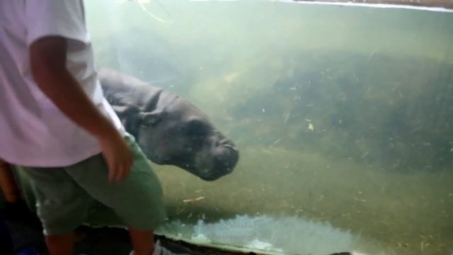 Singapore Zoo Singapore