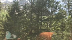 Приэльбрусье из окна автобуса