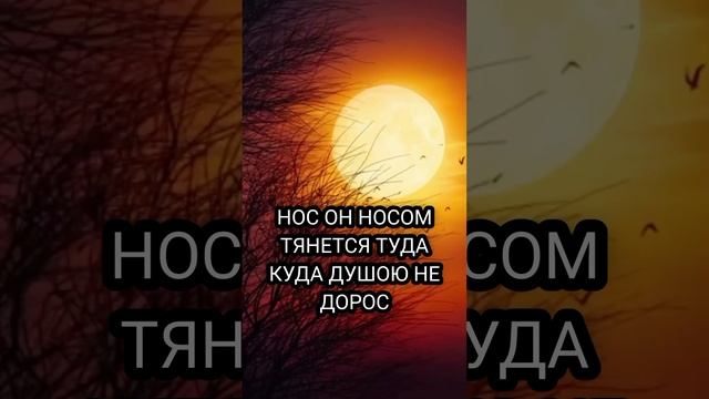 Чем ниже человек душой... #слова #цитаты #мысли #стихи #life #love #жизнь