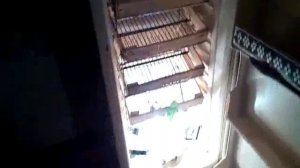 Инкубатор своими руками из холодильника