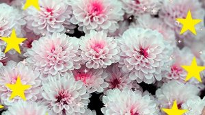 С днём рождения, Лена!