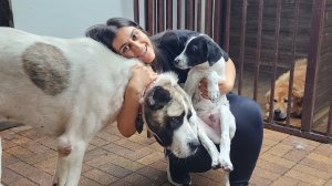 Что будет дальше? Давно не было эфиров. Благотворительный телеграм, подписывайтесь