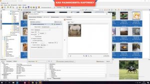 Как размножить картинку