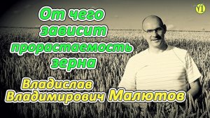 От чего зависит прорастаемость зерна. Владислав Владимирович Малютов (Видео 197)